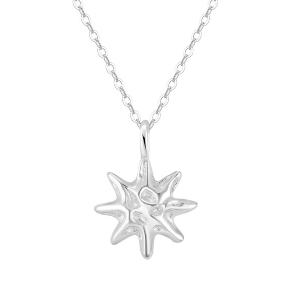 S925 Sterling Silver Hammered Star Pendant Necklace - Image 3