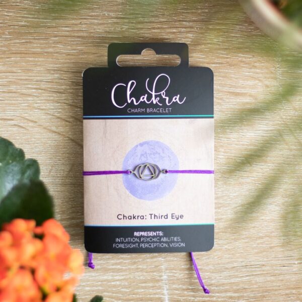 Third Eye Chakra Charm Bracelet - Image 4